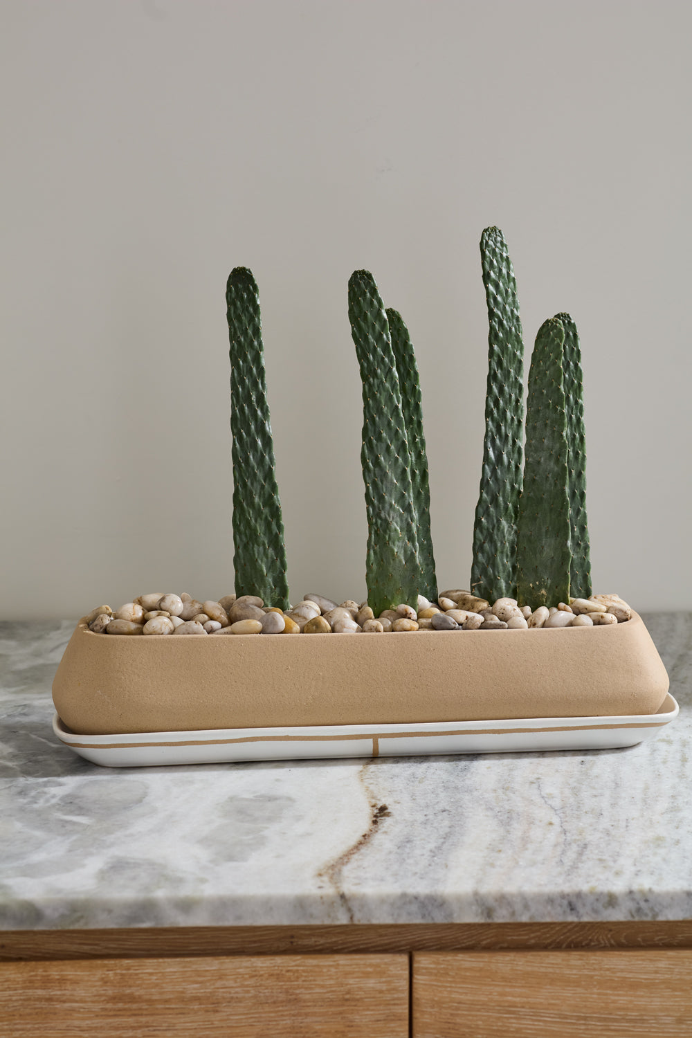 Dublin Planter with Saucer By Accent Decor | Planters, Troughs & Cachepots | Modishstore - 11