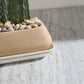 Dublin Planter with Saucer By Accent Decor | Planters, Troughs & Cachepots | Modishstore - 12