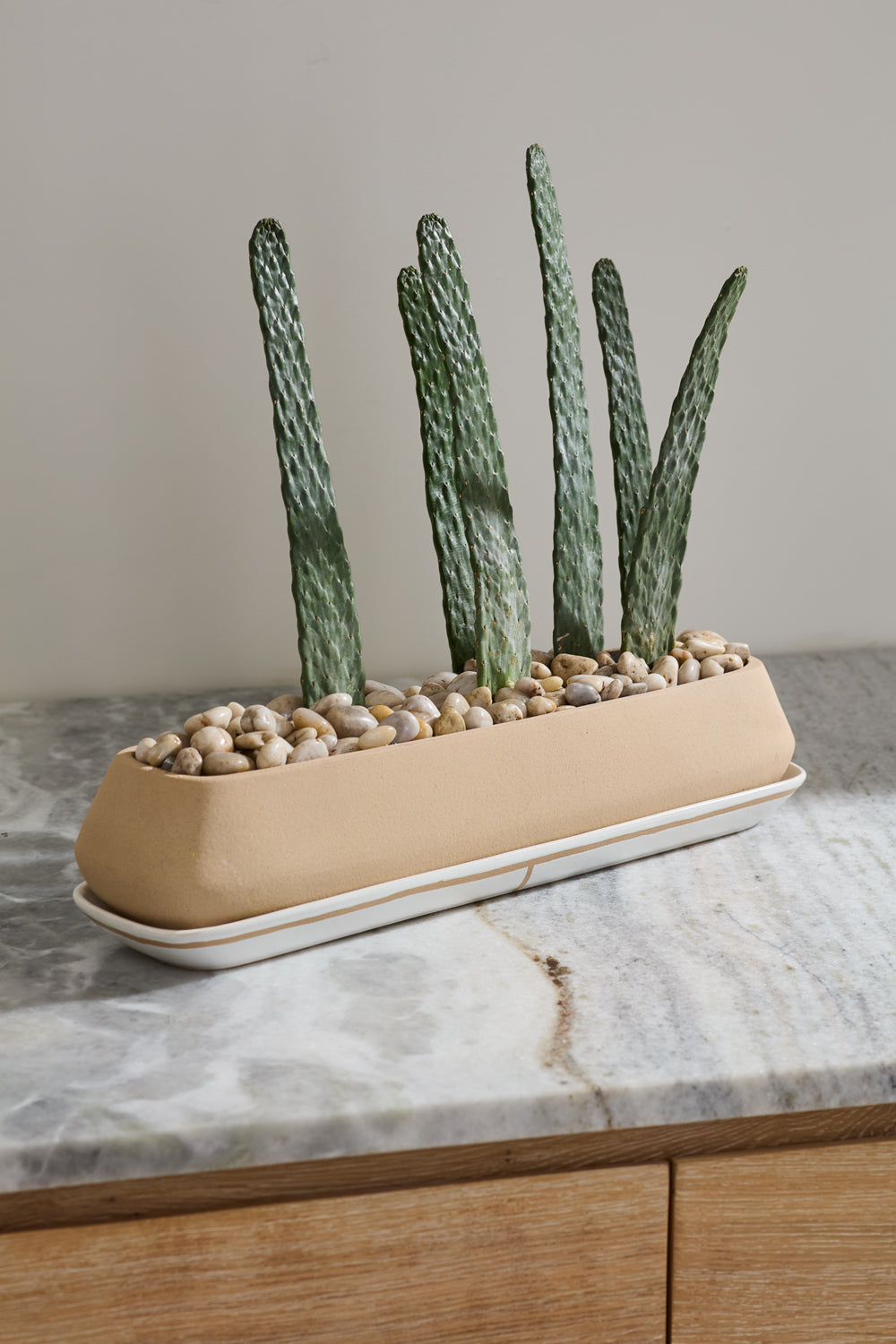 Dublin Planter with Saucer By Accent Decor | Planters, Troughs & Cachepots | Modishstore - 13
