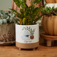 Optimistic Ghost Pot Set of 4 By Accent Decor | Planters, Troughs & Cachepots | Modishstore - 4