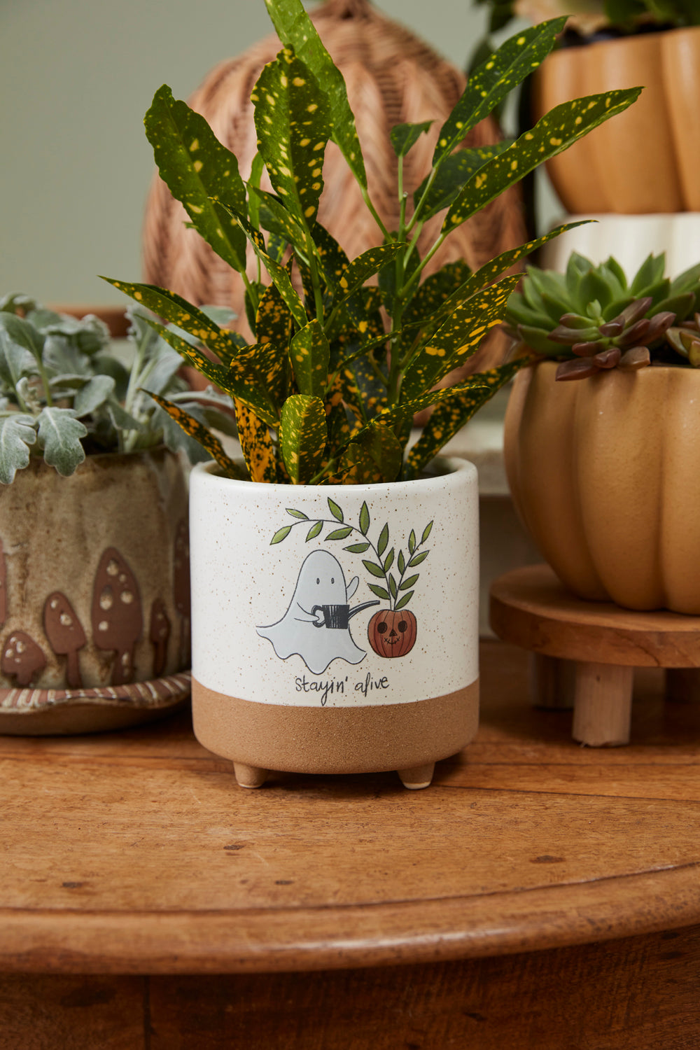 Optimistic Ghost Pot Set of 4 By Accent Decor | Planters, Troughs & Cachepots | Modishstore - 4