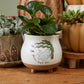 Optimistic Ghost Pot Set of 4 By Accent Decor | Planters, Troughs & Cachepots | Modishstore - 6