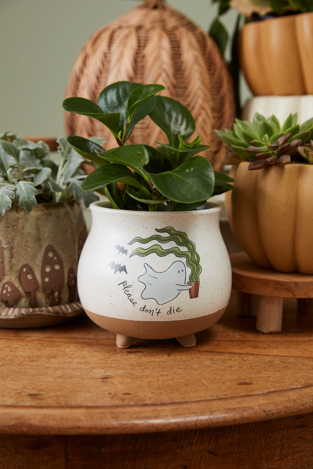 Optimistic Ghost Pot Set of 4 By Accent Decor | Planters, Troughs & Cachepots | Modishstore - 6