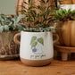 Optimistic Ghost Pot Set of 4 By Accent Decor | Planters, Troughs & Cachepots | Modishstore - 8