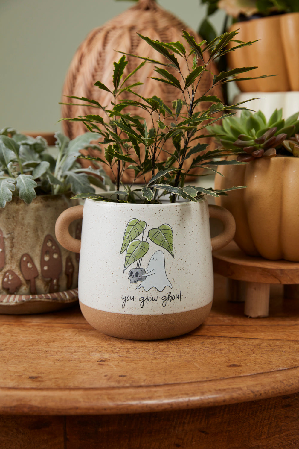 Optimistic Ghost Pot Set of 4 By Accent Decor | Planters, Troughs & Cachepots | Modishstore - 8