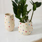 Color Dot Pot Set of 4 By Accent Decor | Planters, Troughs & Cachepots | Modishstore - 5