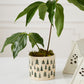 Happy Little Trees Pot Set of 4 By Accent Decor | Planters, Troughs & Cachepots | Modishstore - 4
