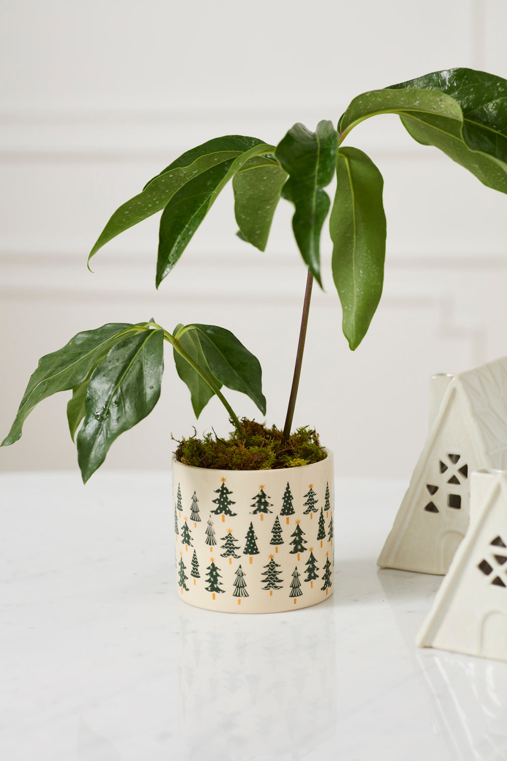 Happy Little Trees Pot Set of 4 By Accent Decor | Planters, Troughs & Cachepots | Modishstore - 4