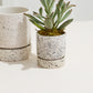 Nisha Pot Set of 4 By Accent DŽcor