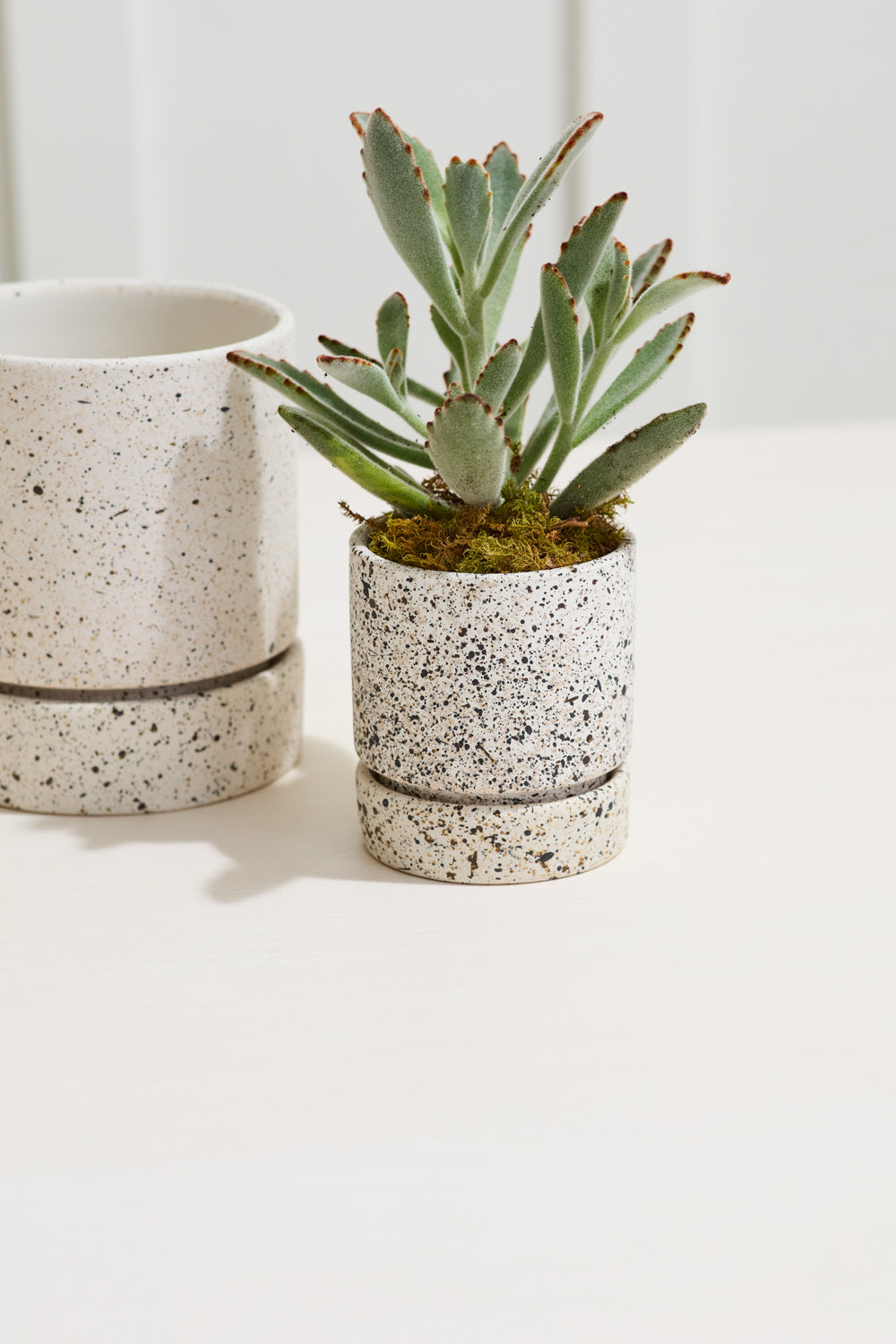 Nisha Pot Set of 4 By Accent DŽcor