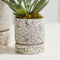 Nisha Pot Set of 4 By Accent DŽcor