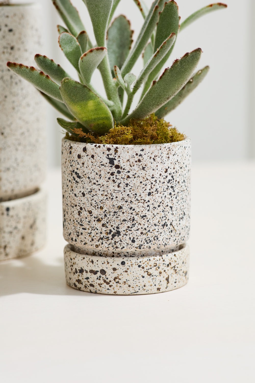 Nisha Pot Set of 4 By Accent DŽcor