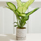 Nisha Pot Set of 4 By Accent DŽcor