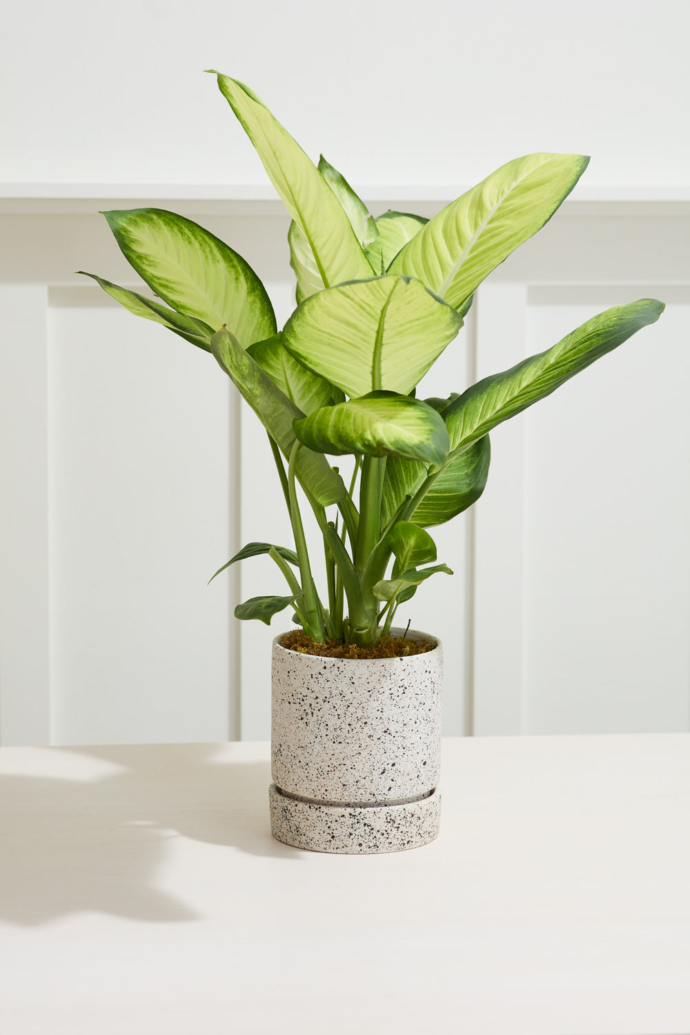 Nisha Pot Set of 4 By Accent DŽcor