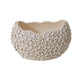 Luanda Bowl By Accent Decor | Decorative Bowls | Modishstore - 5
