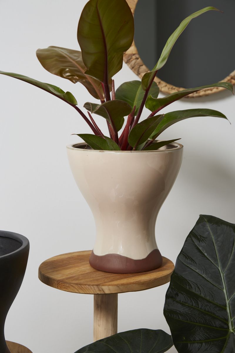 Kanako Pot Set Of 4 By Accent Decor | Planters, Troughs & Cachepots | Modishstore - 5