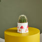 Cheerful Mushroom Collection Set of 4 By Accent Decor | Stands | Modishstore - 7