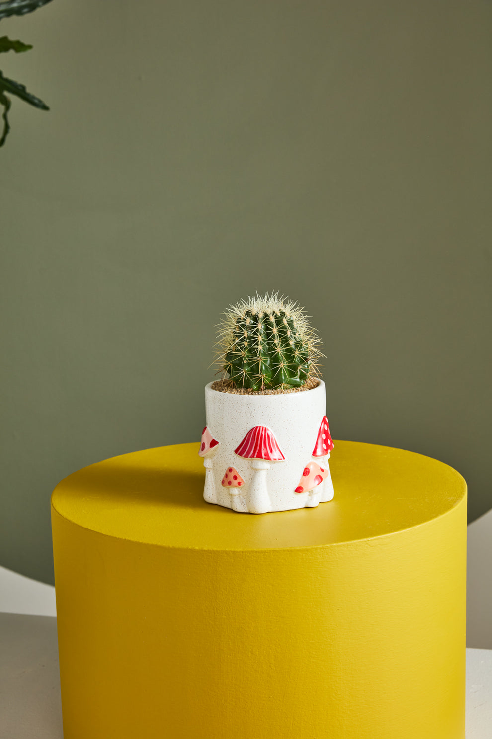 Cheerful Mushroom Collection Set of 4 By Accent Decor | Stands | Modishstore - 7