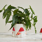 Cheerful Mushroom Collection Set of 4 By Accent Decor | Stands | Modishstore - 8