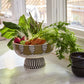 Tosca Footed Bowl By Accent Decor | Decorative Bowls | Modishstore - 5