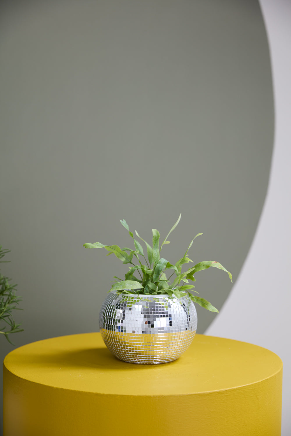 Disco Collection Set of 2 By Accent Decor | Stands | Modishstore - 5