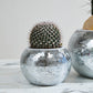 Disco Collection Set of 2 By Accent Decor | Stands | Modishstore - 6