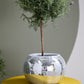 Disco Collection Set of 2 By Accent Decor | Stands | Modishstore - 8