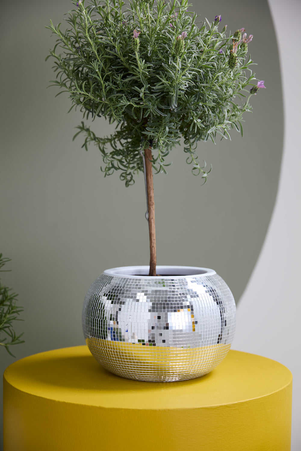 Disco Collection Set of 2 By Accent Decor | Stands | Modishstore - 8