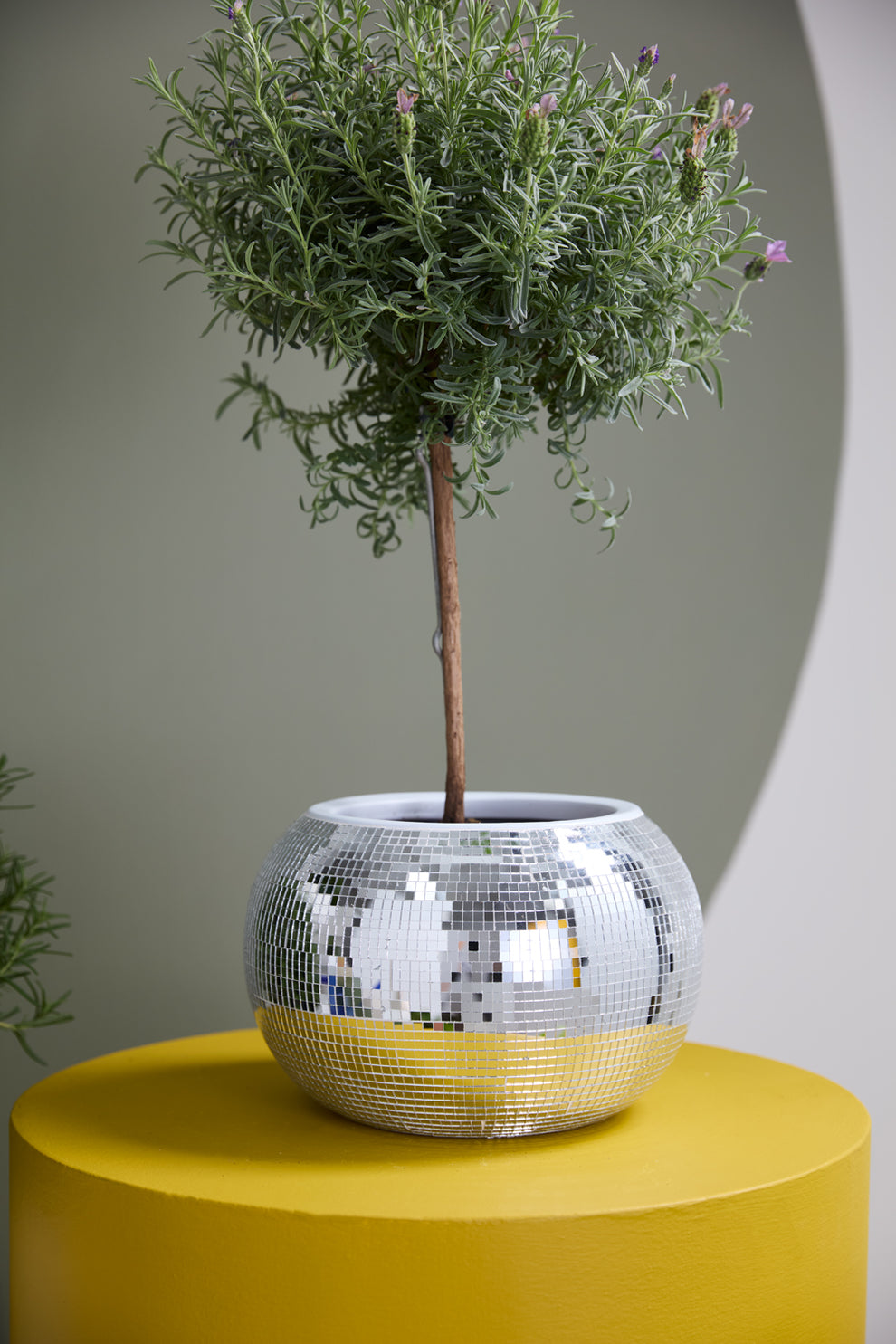 Disco Collection Set of 2 By Accent Decor | Stands | Modishstore - 8