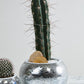 Disco Collection Set of 2 By Accent Decor | Stands | Modishstore - 9