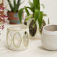 Minka Orchid Pot Set of 2 By Accent Decor | Planters, Troughs & Cachepots | Modishstore - 8