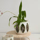 Minka Orchid Pot Set of 2 By Accent Decor | Planters, Troughs & Cachepots | Modishstore - 11