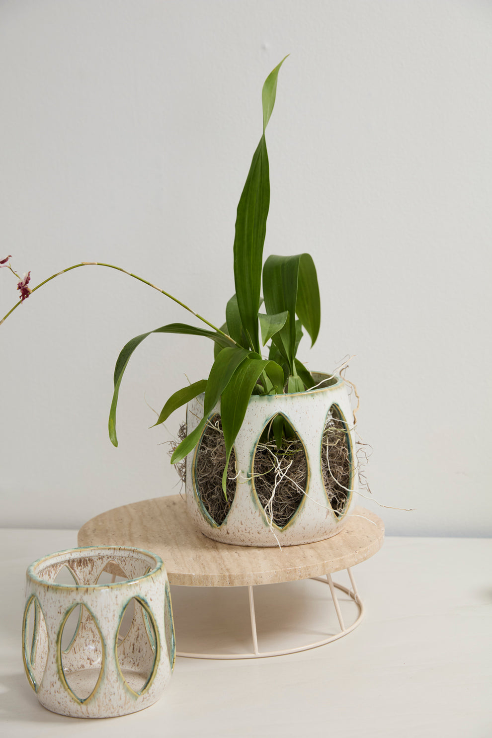 Minka Orchid Pot Set of 2 By Accent Decor | Planters, Troughs & Cachepots | Modishstore - 11
