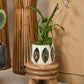 Minka Orchid Pot Set of 2 By Accent Decor | Planters, Troughs & Cachepots | Modishstore - 12