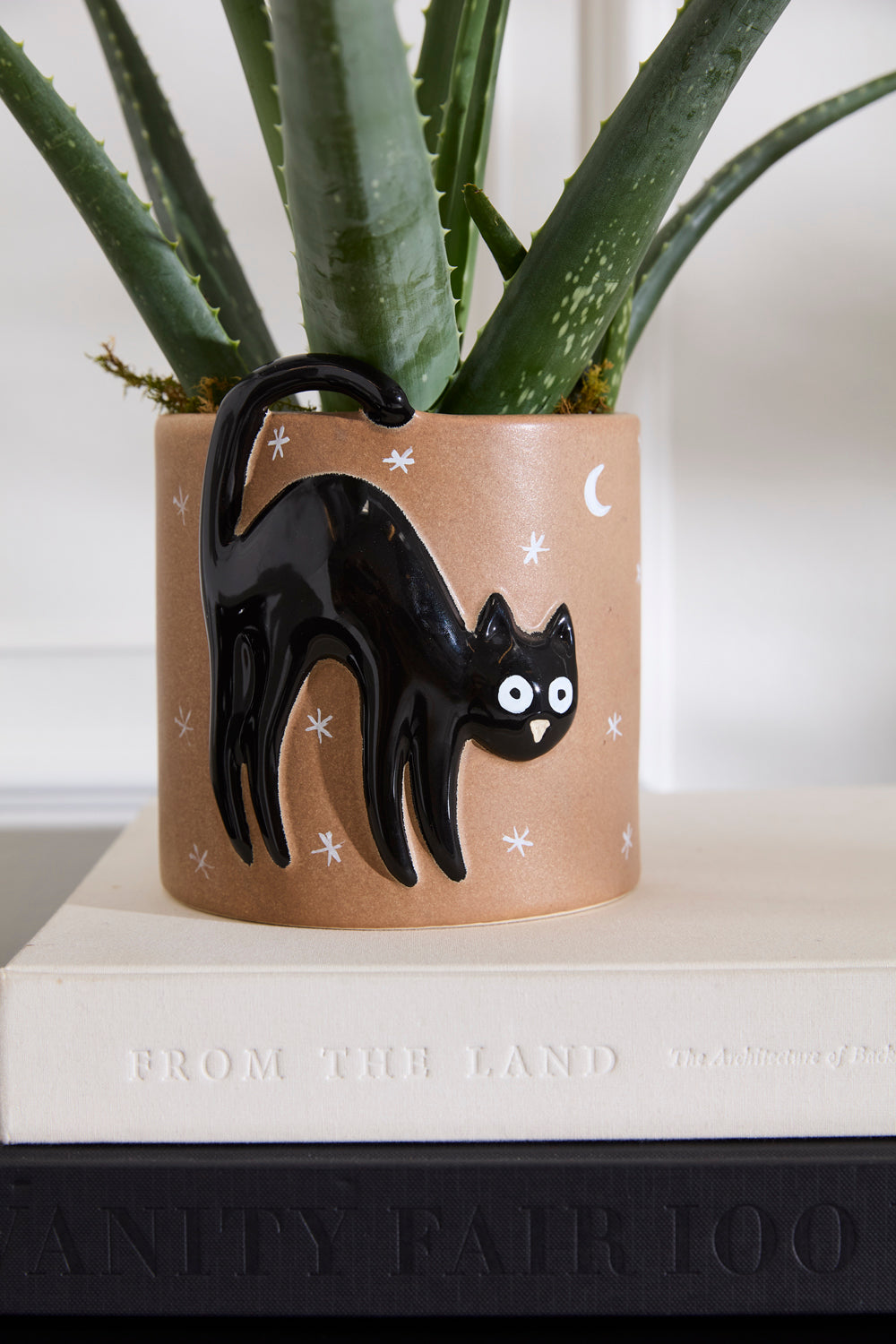 Witching Hour Collection Set of 2 By Accent Decor | Planters, Troughs & Cachepots | Modishstore - 5