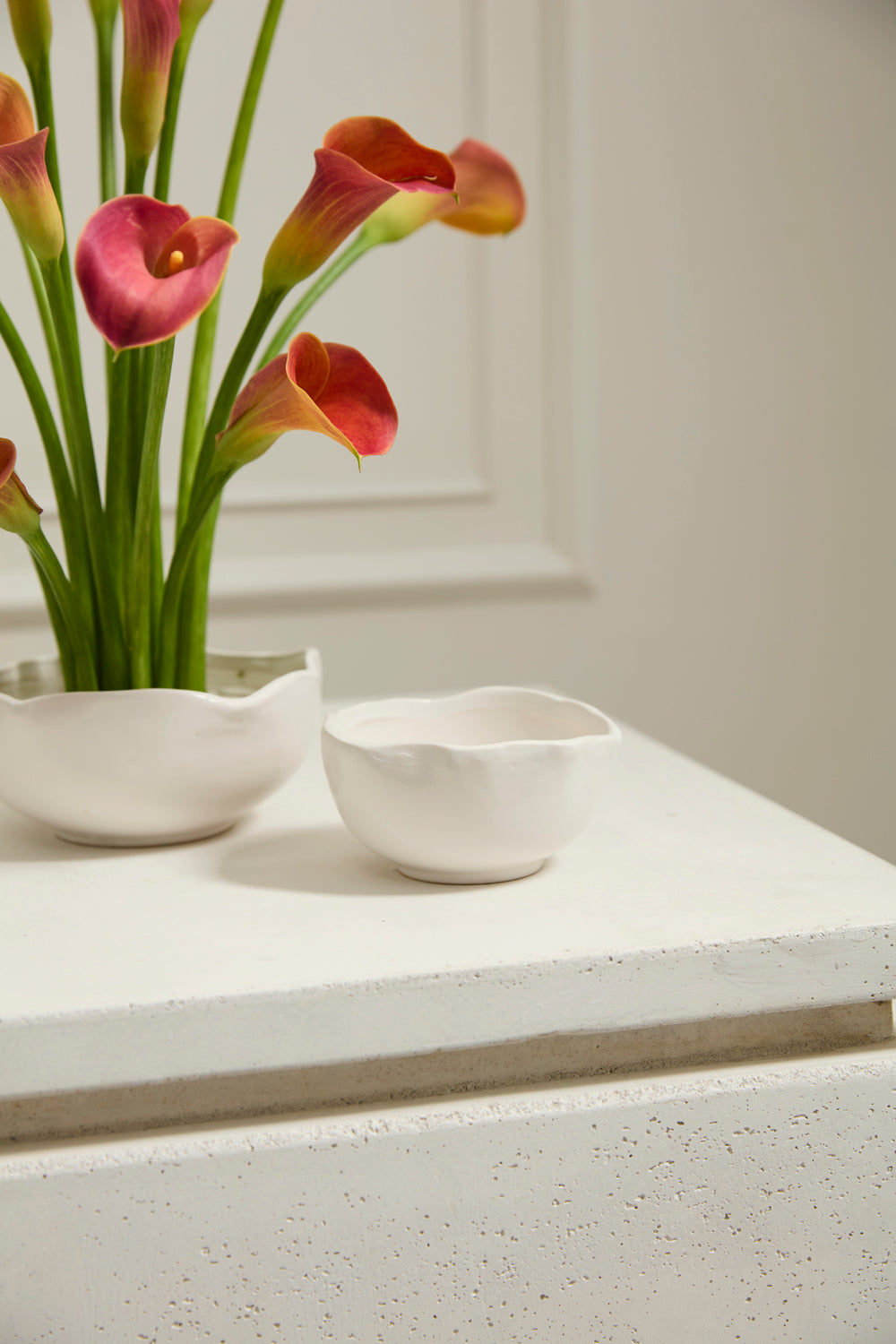 Easy Bowl Set of 8 By Accent Decor | Decorative Bowls | Modishstore - 8