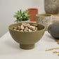 Beltline Bowl with Saucer Set of 4 By Accent Decor | Decorative Bowls | Modishstore - 6