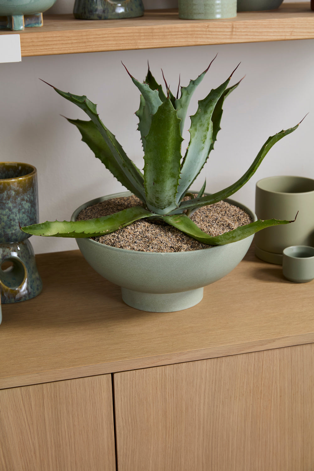 Beltline Bowl with Saucer Set of 4 By Accent Decor | Decorative Bowls | Modishstore - 8