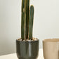 Fischer Pot Set of 8 By Accent Decor | Planters, Troughs & Cachepots | Modishstore - 19