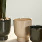 Fischer Pot Set of 8 By Accent Decor | Planters, Troughs & Cachepots | Modishstore - 10
