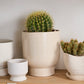 Fischer Pot Set of 8 By Accent Decor | Planters, Troughs & Cachepots | Modishstore - 11