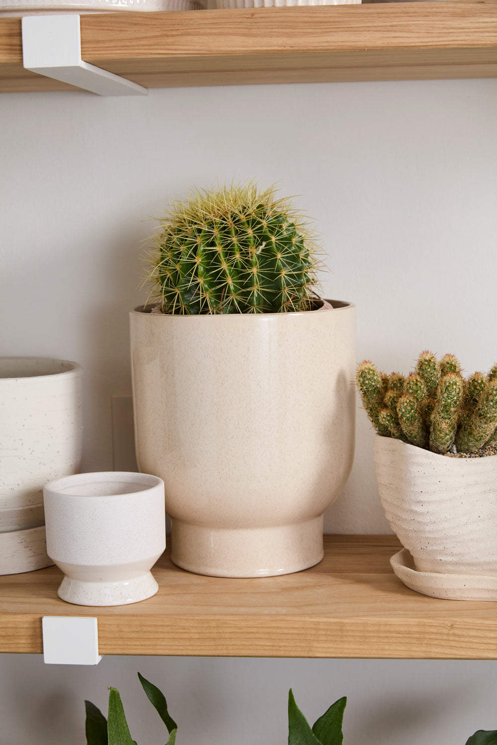 Fischer Pot Set of 8 By Accent Decor | Planters, Troughs & Cachepots | Modishstore - 11