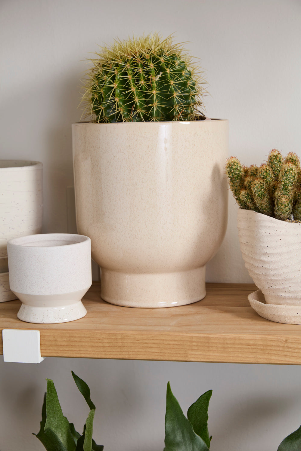 Fischer Pot Set of 8 By Accent Decor | Planters, Troughs & Cachepots | Modishstore - 12