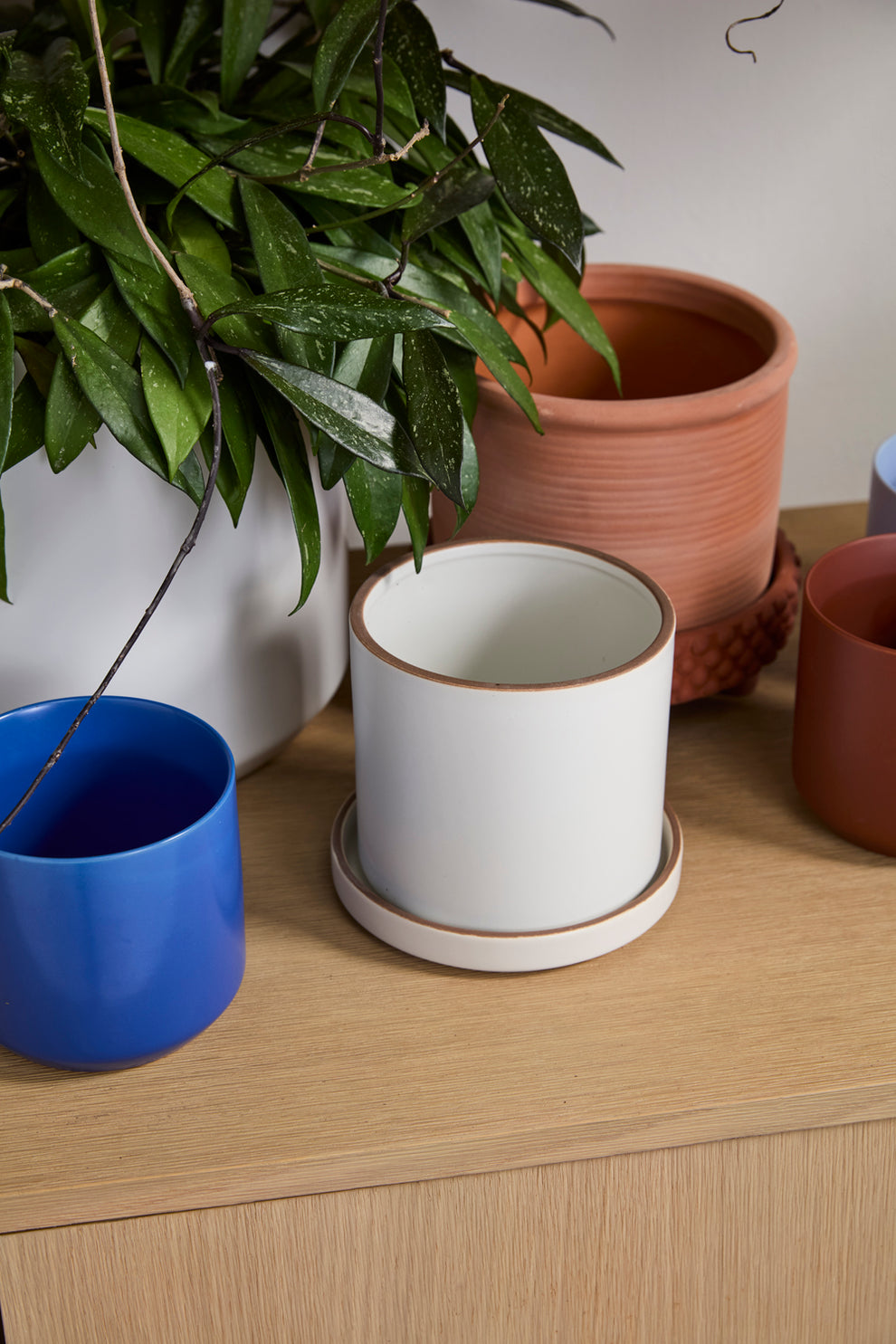 Author Pot with Saucer Set of 4 By Accent Decor | Planters, Troughs & Cachepots | Modishstore - 8