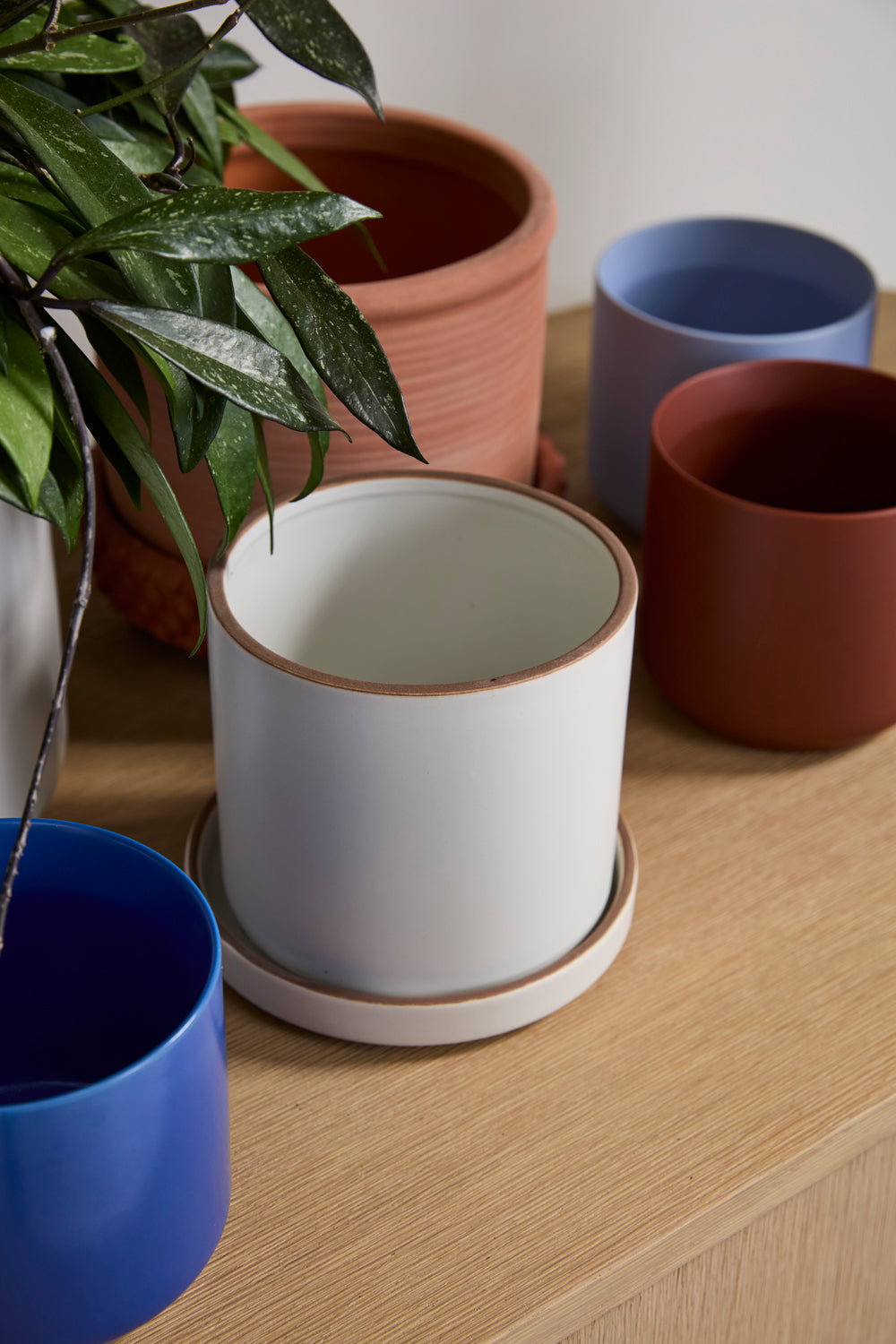 Author Pot with Saucer Set of 4 By Accent Decor | Planters, Troughs & Cachepots | Modishstore - 11