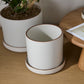 Author Pot with Saucer Set of 4 By Accent Decor | Planters, Troughs & Cachepots | Modishstore - 12