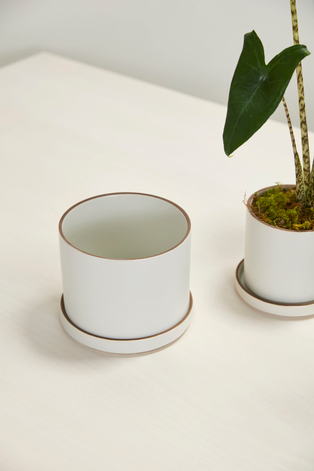 Author Pot with Saucer Set of 4 By Accent Decor | Planters, Troughs & Cachepots | Modishstore - 14
