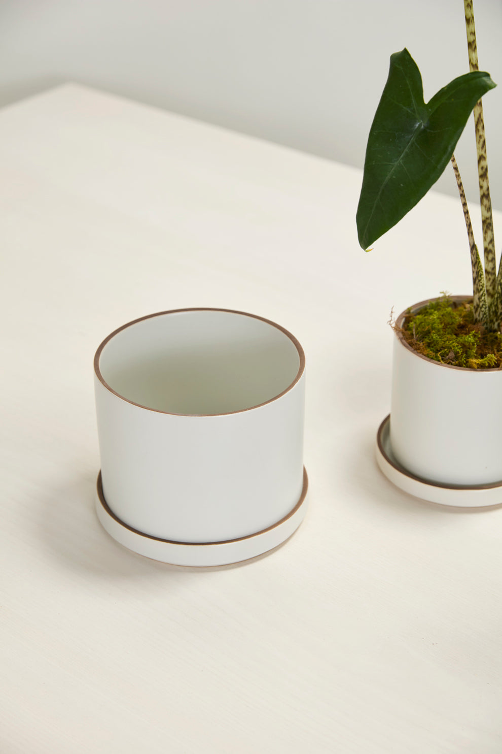 Author Pot with Saucer Set of 4 By Accent Decor | Planters, Troughs & Cachepots | Modishstore - 14