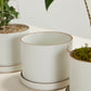 Author Pot with Saucer Set of 4 By Accent Decor | Planters, Troughs & Cachepots | Modishstore - 16