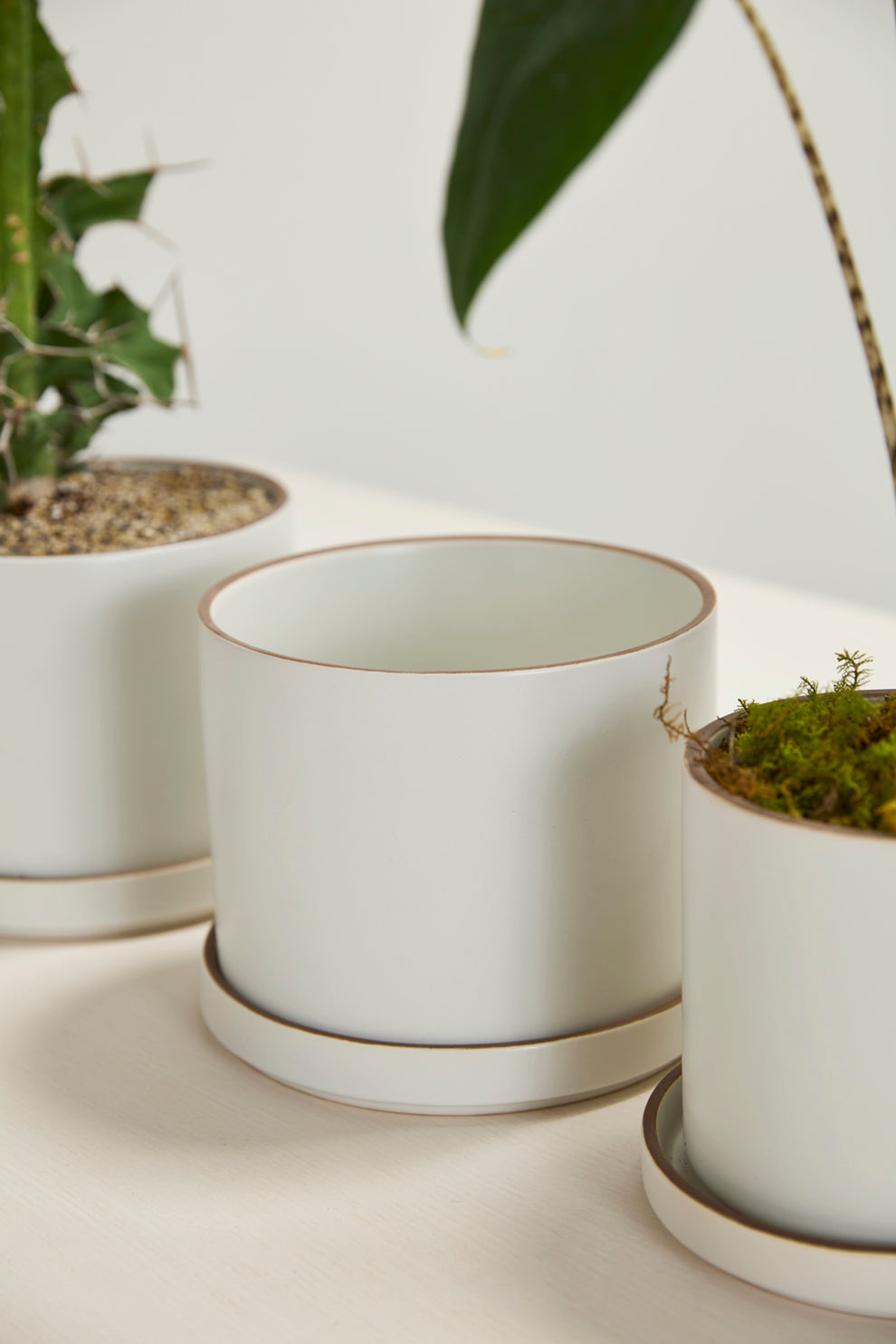 Author Pot with Saucer Set of 4 By Accent Decor | Planters, Troughs & Cachepots | Modishstore - 16